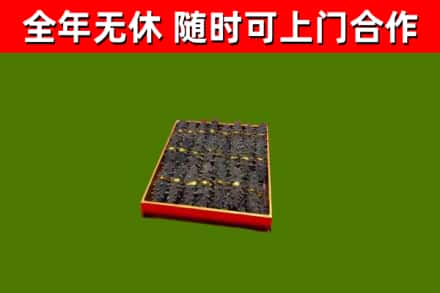 策勒县回收海参